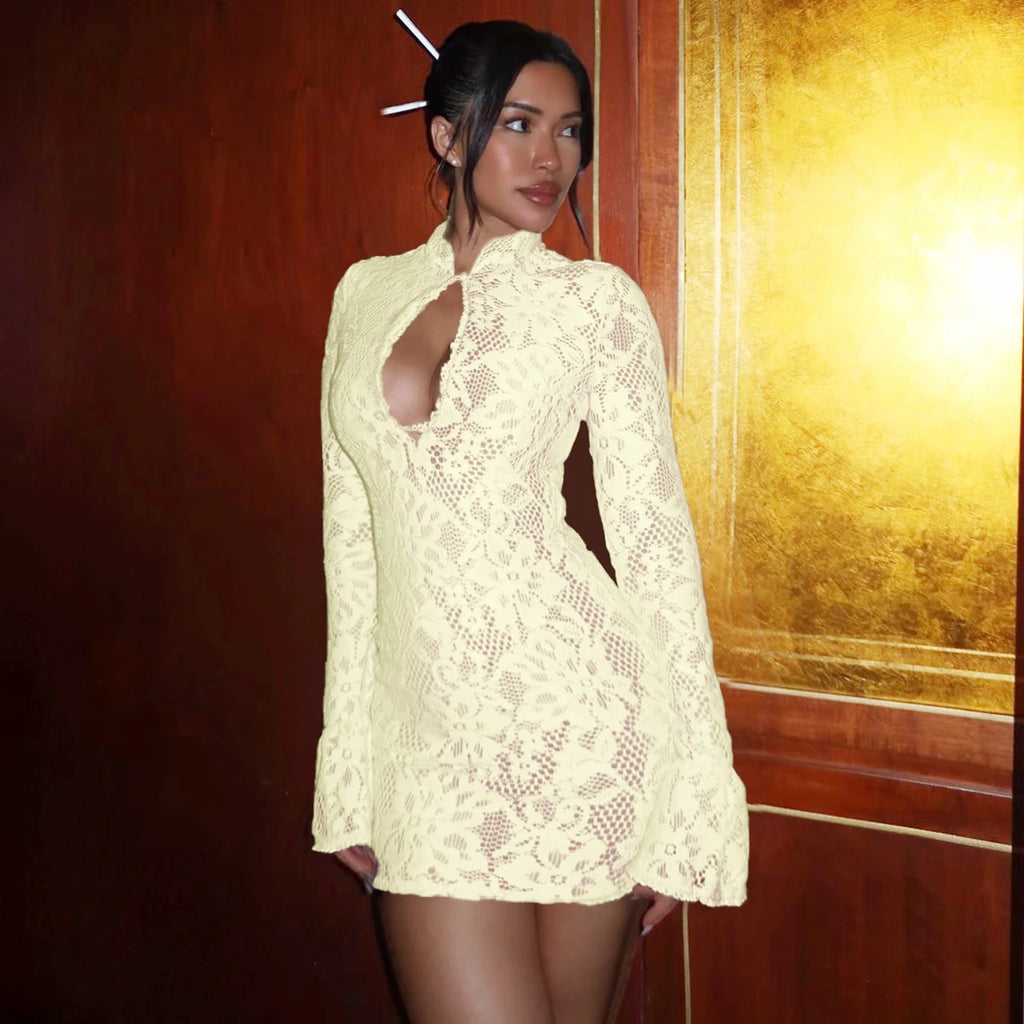 Elegant Lace Mini Dress