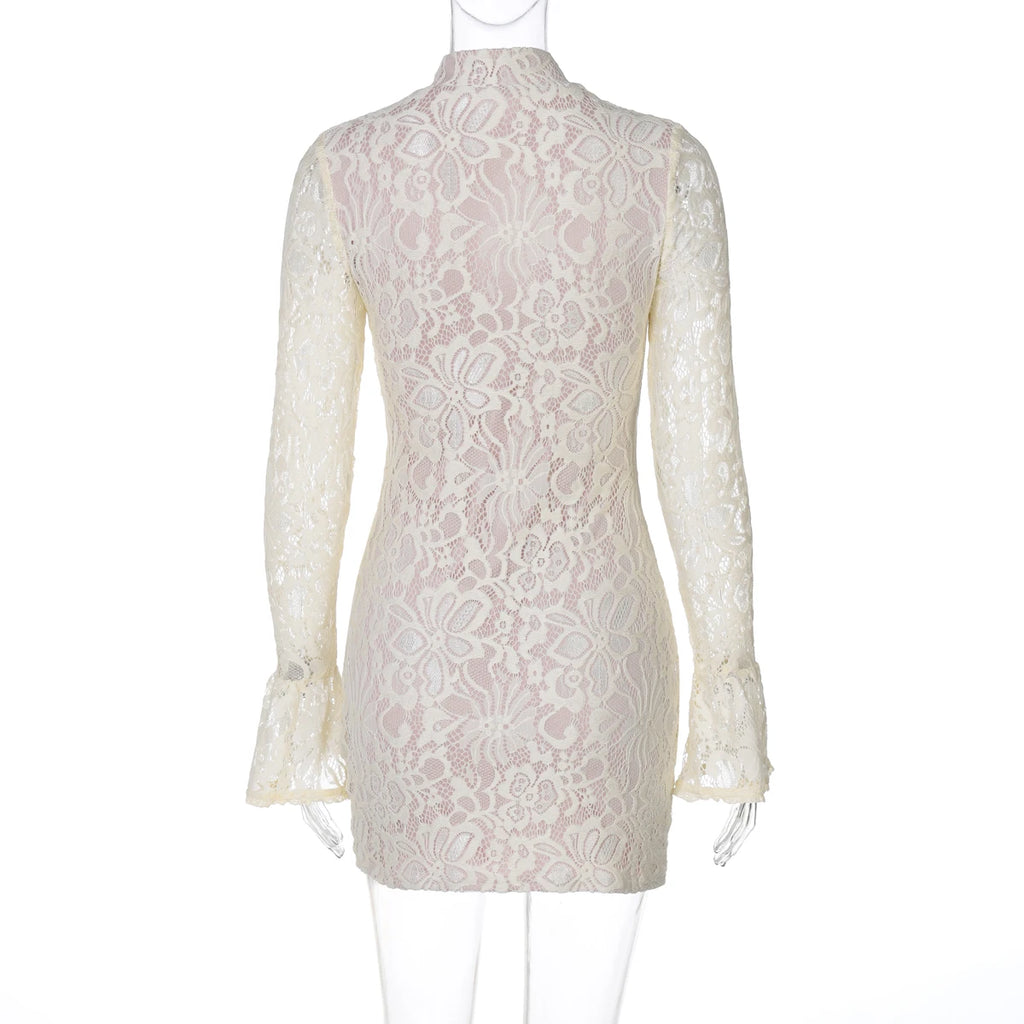Elegant Lace Mini Dress