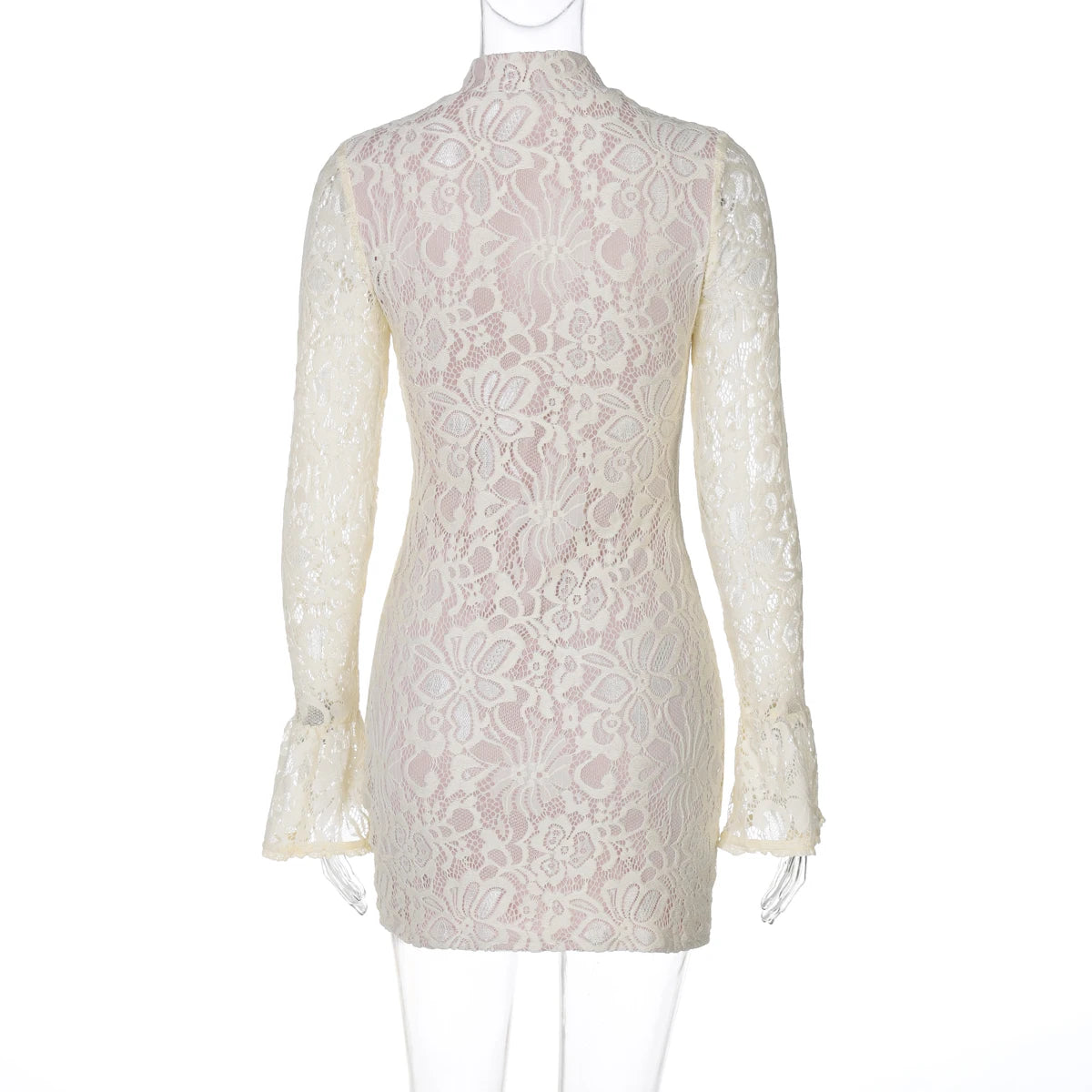 Elegant Lace Mini Dress