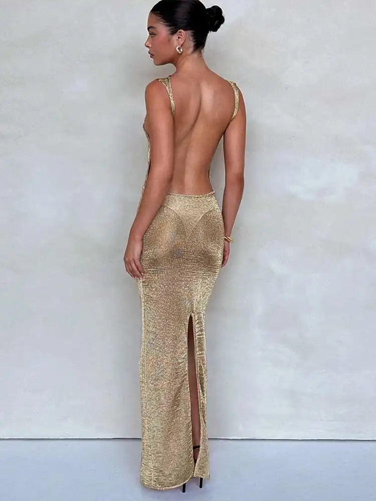 Sparkle Backless Dress