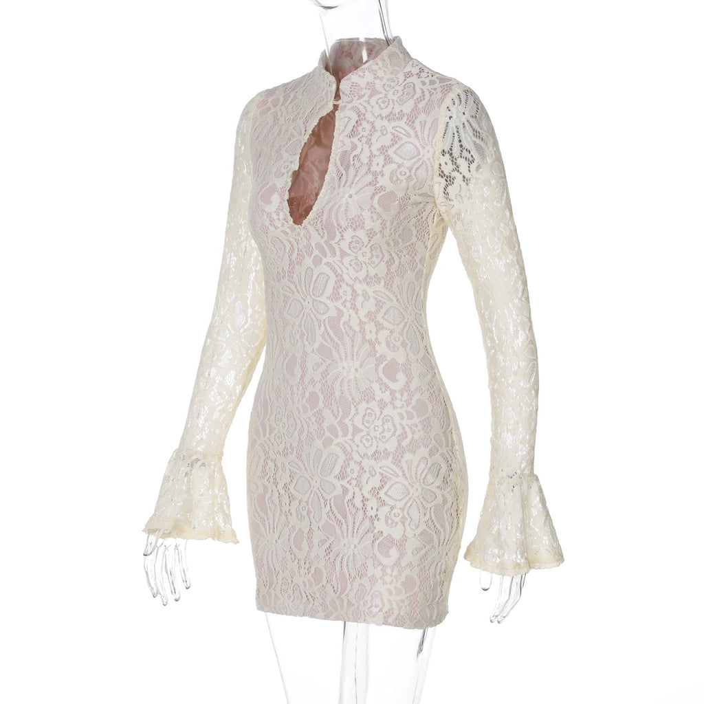 Elegant Lace Mini Dress