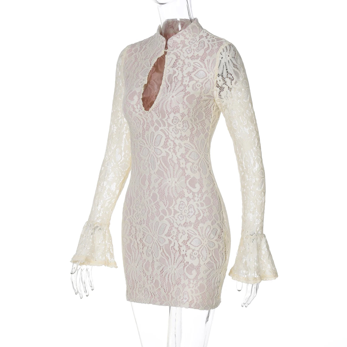 Elegant Lace Mini Dress